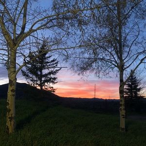 Meet your Posher, Matt